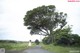 A woman in a white dress walking down a dirt road.