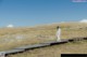 A woman in a white dress walking across a wooden bridge.